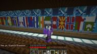 Other flags shown by the Redditor (Image via u/did_p Reddit)